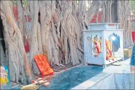  ??  ?? The religiousl­y important ‘Akshaywat tree’ located inside Akbar’s Fort in Prayagraj.