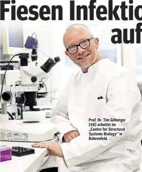  ??  ?? Prof. Dr. Tim Gilberger (48) arbeitet im „Centre for Structural Systems Biology“in Bahrenfeld.