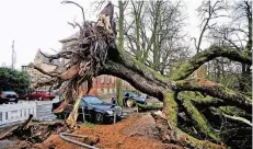  ?? FOTO: KLAUS DIEKER ?? Unzählige Bäume wurden durch Sturmtief „Friederike“entwurzelt. So auch dieser in Moers, verletzt wurde zum Glück niemand.