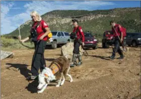  ?? THE ASSOCIATED PRESS ?? Volunteer rescuers from Navajo County begin searching for a missing 27-year-old man in Tonto National Forest, Ariz., Monday, July 17, 2017.