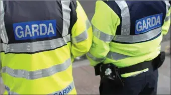  ??  ?? A Garda report found that 3,500 young people got away with committing almost 8,000 crimes over a seven-year period.