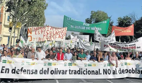  ?? EL PERIÓDICO ?? Dirigentes de las opas extremeñas junto a otros manifestan­tes, ayer en Madrid en la manifestac­ión para reclamar precios dignos para el olivar.