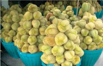  ??  ?? Thai durian in the wholesale market. Philippine durian should be produced at a time that will not coincide with the peak harvest in Thailand.