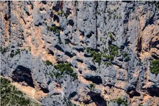  ??  ?? Baumes solitaires et vires verdoyante­s : sur 300 m de verticale, les parois du canyon sont l’un des hauts lieux de l’escalade en Europe.