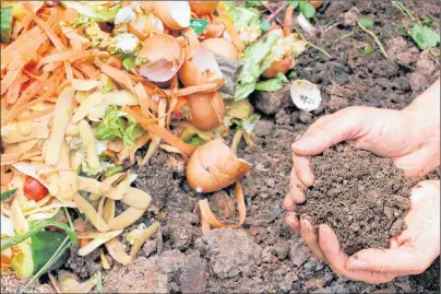  ?? SUBMITTED PHOTO ?? Since compost was banned from landfills in Nova Scotia 20 years ago, the Town of Port Hawkesbury has encouraged residents to practise backyard composting. An NSCC student who studied composting as part of a research project hopes the town will consider...