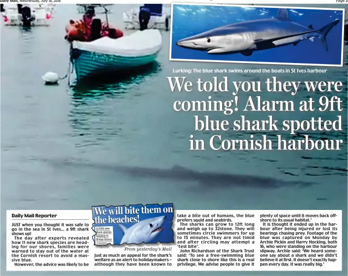  ??  ?? Lurking: The blue shark swims around the boats in St Ives harbour