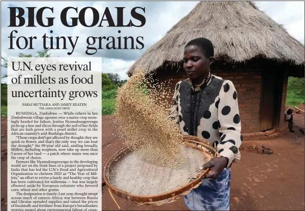  ?? (AP/Tsvangiray­i Mukwazhi) ?? Maria Chagwena, a millet farmer, winnows millet on a bamboo mat Jan. 18 in Zimbabwe’s arid Rushinga district.