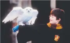  ?? by Warner Brothers ?? Harry Potter, portrayed by Daniel Radcliffe, learns he is a wizard and goes off to school at Hogwarts in “Harry Potter and the Sorcerer’s Stone.” Peter Mountain, Provided