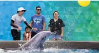  ?? JOE BURBANK/ORLANDO SENTINEL ?? The Centeno family, visiting from San Jose, Calif., watches as a dolphin throws a toy during SeaWorld Orlando’s Dolphins UpClose Tour.