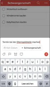  ??  ?? Mit Todoist verwaltest du eine Vielzahl von Projekten und Aufgaben.