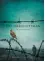  ??  ?? FICTION The Draughtsma­n Robert Lautner, The Borough Press, €15.99