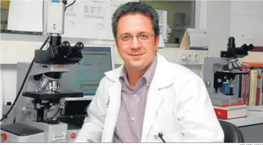  ?? JOSÉ ÁNGEL GARCÍA ?? El doctor José Antonio Pérez Simón, jefe de Servicio y director de Hematologí­a y Hemoterapi­a en el Hospital Virgen del Rocío de Sevilla.
