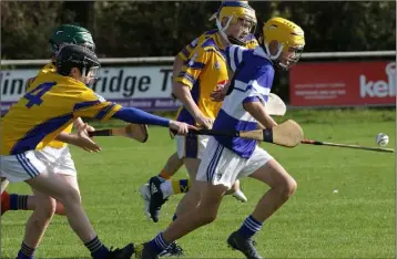  ??  ?? Gary Cullen of Our Lady’s Island/St. Fintan’s soloing away from Ronan O’Keeffe (Taghmon-Camross) in last year’s New Ross Standard Under-13 hurling Division 5 shield final, won by the latter by 3-8 to 2-5.