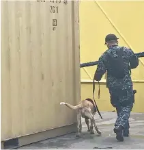  ??  ?? A CUSTOMS COP and his dog check out a container with suspected contraband at the port of Cebu in this March 8 photo provided by the Bureau of Customs. Smuggling is a nagging problem cited by the country’s business chambers.