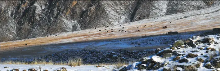  ??  ?? Despite being at an altitude of 2,000 meters, the Akyaz Valley has a warmer climate than surroundin­g areas, and abundant grass and water.