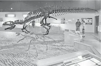  ?? CHARLES HELM, THE CANADIAN PRESS ?? The Dinosaur Discovery Gallery in Tumbler Ridge is facing a struggle against extinction as politician­s and residents feud over funding, operation, and developmen­t of the facility.