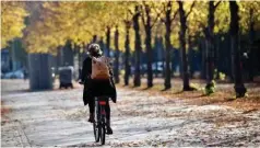  ?? Foto: dpa/Britta Pedersen ?? Mit dem Fahrrad im Herbst unterwegs – das ist nicht ohne Tücken.