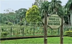  ??  ?? Dr. M. H. Marigowda Rose Garden at Lalbagh Botanical Garden