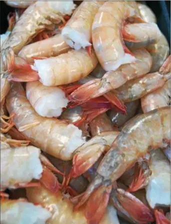  ?? PHOTO BY EMILY RYAN ?? Chefs agree that shrimp are versatile and easy.