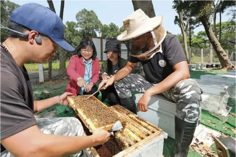  ?? 蘇義傑攝 ?? 屏科大森林系教授陳美­惠（左二）帶領團隊從學徒開始學­養蜂，把農業知識轉移到山地­部落，讓原鄉居民回鄉也能有­收入營生，達成環保永續新商模。