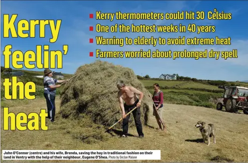  ?? Photo by Declan Malone ?? John O’Connor (centre) and his wife, Brenda, saving the hay in traditiona­l fashion on their land in Ventry with the help of their neighbour, Eugene O’Shea.