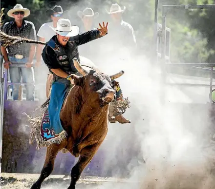  ?? PHOTO: DAVID UNWIN/ FAIRFAX NZ. ?? Merv Church hangs on at the Parklee Bullride, near Huntervill­e.