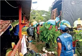  ??  ?? La teniente se instaló en un campamento sin electricid­ad en la zona selvática del departamen­to de Caquetá, donde convivió con un grupo de al menos 15 personas de distintas nacionalid­ades.