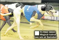  ??  ?? FLYING HIGH: Magical Icarus can win at Swindon