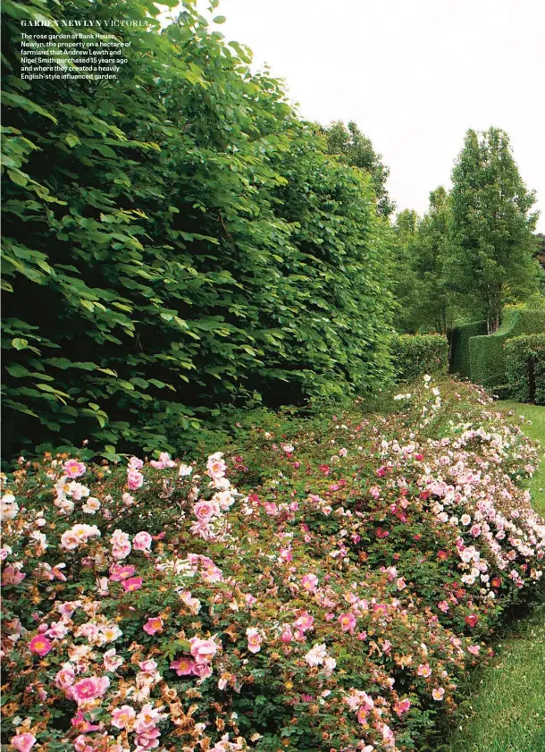  ??  ?? The rose garden at Bank House, Newlyn, the property on a hectare of farmland that Andrew Lowth and Nigel Smith purchased 15 years ago and where they created a heavily English-style influenced garden.