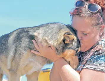  ?? PICTURE: TRACEY ADAMS ?? PUPPY LOVE: Gayleen Basson sold her house in Flamingo Vlei and used the proceeds to buy the land in Melkbosstr­and, used for the Melkbosstr­and Animal Shelter, called Fallen Angels.