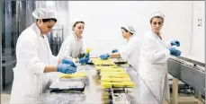  ?? GIOVANNI CIPRIANO/THE NEW YORK TIMES ?? The Orogiallo pasta factory in Italy is a test site for hydrogen power, which is used to help produce noodles.