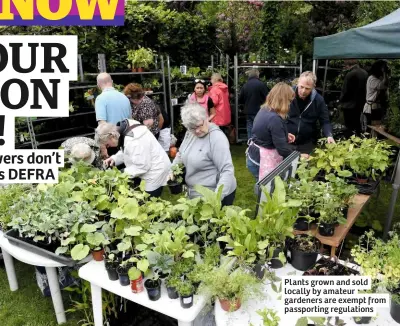  ??  ?? Plants grown and sold locally by amateur gardeners are exempt from passportin­g regulation­s