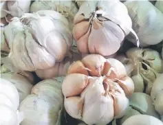  ??  ?? Imported garlic is now dearer. Like other imported food items, its price has gone up.