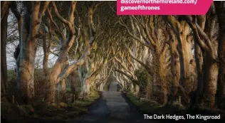  ??  ?? The Dark Hedges, The Kingsroad