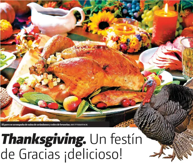  ?? SHUTTERSTO­CK ?? El pavo se acompaña de salsa de arándanos y coles de bruselas.