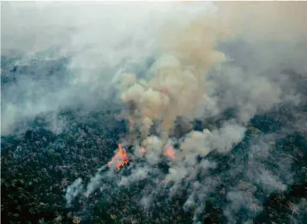  ?? Marizilda Cruppe/Greenpeace/AFP ?? » TERRA ARRASADA Fogo atinge a terra indígena Arariboia (MA), onde vivem cerca de 80 awa-guaja; no Amazonas, no Acre e no Espírito Santo, número de queimadas já é o maior desde 1998, quando focos começaram a ser computados