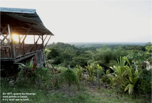  ??  ?? En 1977, quand les Hmongs sont arrivés à Cacao, il n’y avait que la forêt…