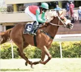  ?? Photo: JC Photograph­ics ?? Theroseofb­echarre could bloom in the lucky last today at the Vaal.