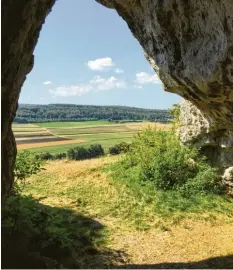  ?? Foto: Münzenried­er ??