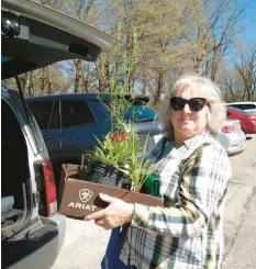  ?? ?? Heidi Maida, of Highland, loads her purchases after shopping at the Native Plant Sale.