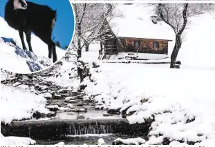  ??  ?? Michael Kirchweger betreibt heute das einst fürstliche Forsthaus im Bodinggrab­en, einem wilden Talabschlu­ss in den Kalkalpen. Wer sich im Winter auf die Höhen wagt, trifft auf Gämsen