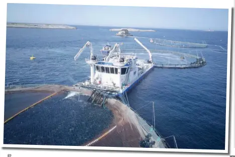  ??  ?? Left: Four-line barge in operation
Above: Wellboat configurat­ion of the Hydrolicer system Opposite: Hydro Pioneer in operation