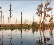  ?? HELENA OLIVIERO / HOLIVIERO@AJC.COM ?? For a trip far from the busyness of everyday life, you can visit the Okefenokee Swamp, near Georgia’s border with Florida.