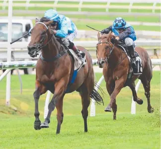  ?? Picture: TRACKSIDE PHOTOGRAPH­Y ?? Whypeeo and jockey Jeff Lloyd storm to victory at Doomben in April.