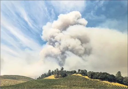  ?? NOAH BERGER — THE ASSOCIATED PRESS ?? A plume rises over a vineyard in unincorpor­ated Napa County as the Hennessey Fire burns last week. Smoke from the West Coast wildfires has tainted grapes in some of the nation’s most celebrated­wine regions. The resulting ashy flavor could spell disaster for the 2020vintag­e.