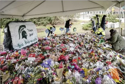  ?? NICK KING — LANSING STATE JOURNAL VIA AP, FILE ?? People work to remove flowers from the memorial at the Rock in honor of three students killed at Michigan State University on March 2 in East Lansing, Mich. At Michigan State, sports were suspended after gun violence on campus left three students dead. An Associated Press analysis of more than a dozen schools in the NCAA tournament­s shows a wide range of policies that govern guns at those schools and uneven efforts to regulate them.