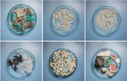  ?? © nyt ?? Gesorteerd­e kunststof uit de ‘Great Pacific Garbage Patch’, vier keer zo groot als Californië.