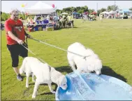  ?? Flip Putthoff/NWA Democrat-Gazette ?? Larry Gramling of Centeron lets his dogs Yukon, left, and King Oberon get a drink Saturday before the start of the Northwest Arkansas Dog Walk at Orchards Park in Bentonvill­e. The event benefited area animal shelters.