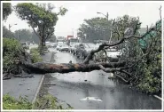  ?? Picture: REUTERS ?? LIVES UPROOTED: Traffic backs up behind a tree felled by the storm and blocking a road in Durban