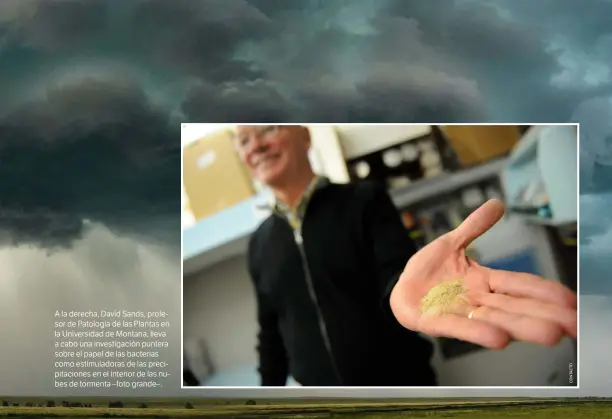  ??  ?? A la derecha, David Sands, profesor de Patología de las Plantas en la Universida­d de Montana, lleva a cabo una investigac­ión puntera sobre el papel de las bacterias como estimulado­ras de las precipitac­iones en el interior de las nubes de tormenta –foto grande–.